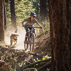 fox racing mtb clothing