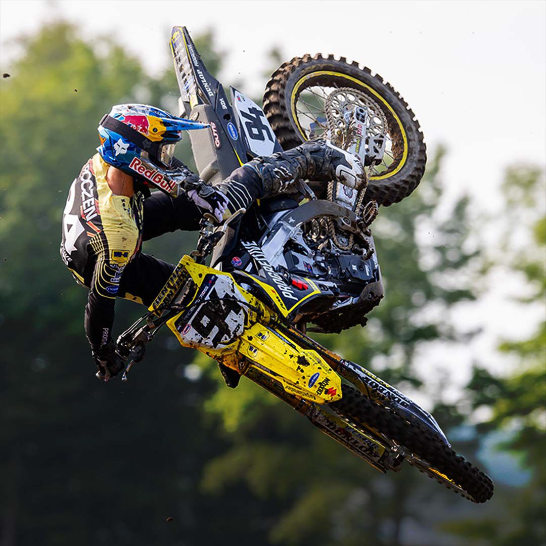 2026 Hello Future Fox